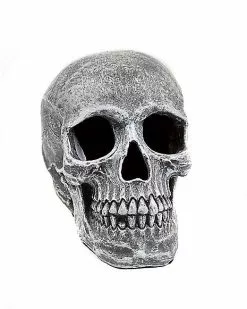 Large Realistic Skull Prop