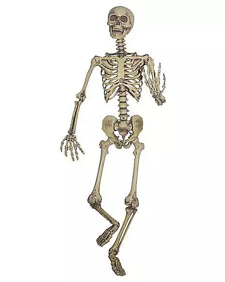 5 Ft Hanging Skeleton Decoration 3 5 Ft Hanging Skeleton Decoration