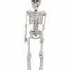 3 Ft Plastic Skeleton