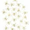 Glow In The Dark Spiders - 24 Pack