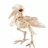 Skeleton Crow