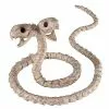 Two-Headed Snake Skeleton - Decorations 1 Two-Headed Snake Skeleton - Decorations -Halloween Store 01344316 a
