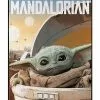 Child Arrived Fleece Blanket - The Mandalorian 2 Child Arrived Fleece Blanket - The Mandalorian -Halloween Store 01473958 a