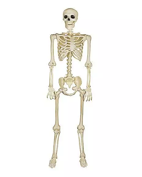 5 Ft Blacklight Skeleton 3 5 Ft Blacklight Skeleton