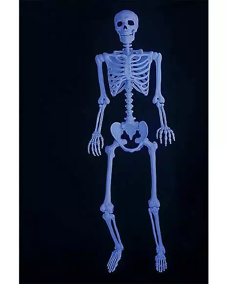 5 Ft Blacklight Skeleton 4 5 Ft Blacklight Skeleton - Image 2