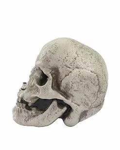 Mutant Skull -Halloween Store 01528868 d