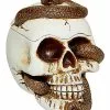 Snake Skull Box 1 Snake Skull Box -Halloween Store 01530286 a