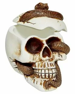 Snake Skull Box -Halloween Store 01530286 c