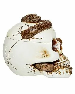 Snake Skull Box -Halloween Store 01530286 d