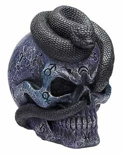 Mystical Arts Snake Skull -Halloween Store 01542786 c