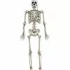 5 Ft. Digieye Hanging Skeleton Decoration