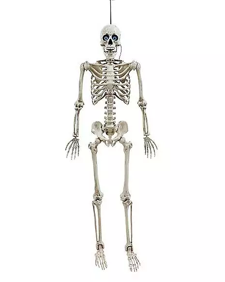 5 Ft. Digieye Hanging Skeleton Decoration 3 5 Ft. Digieye Hanging Skeleton Decoration