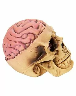Skull With Brain Decoration 7 Skull With Brain Decoration -Halloween Store 01573070 b