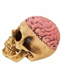 Skull With Brain Decoration 9 Skull With Brain Decoration -Halloween Store 01573070 d