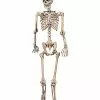 5 Ft Pose 'N' Stay Skeleton