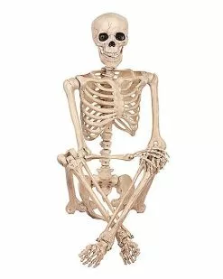 5 Ft Pose 'N' Stay Skeleton 7 5 Ft Pose 'N' Stay Skeleton -Halloween Store 07125149 c