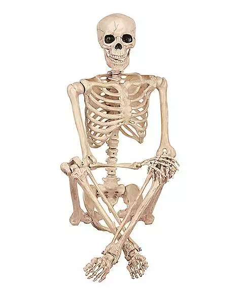 5 Ft Pose 'N' Stay Skeleton 5 5 Ft Pose 'N' Stay Skeleton - Image 3