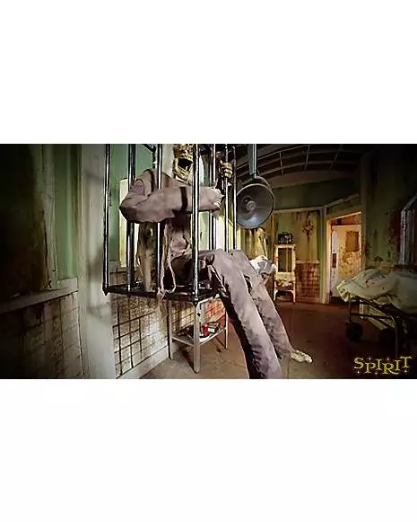 4.2 Ft Barry Animatronic 9 4.2 Ft Barry Animatronic - Image 7