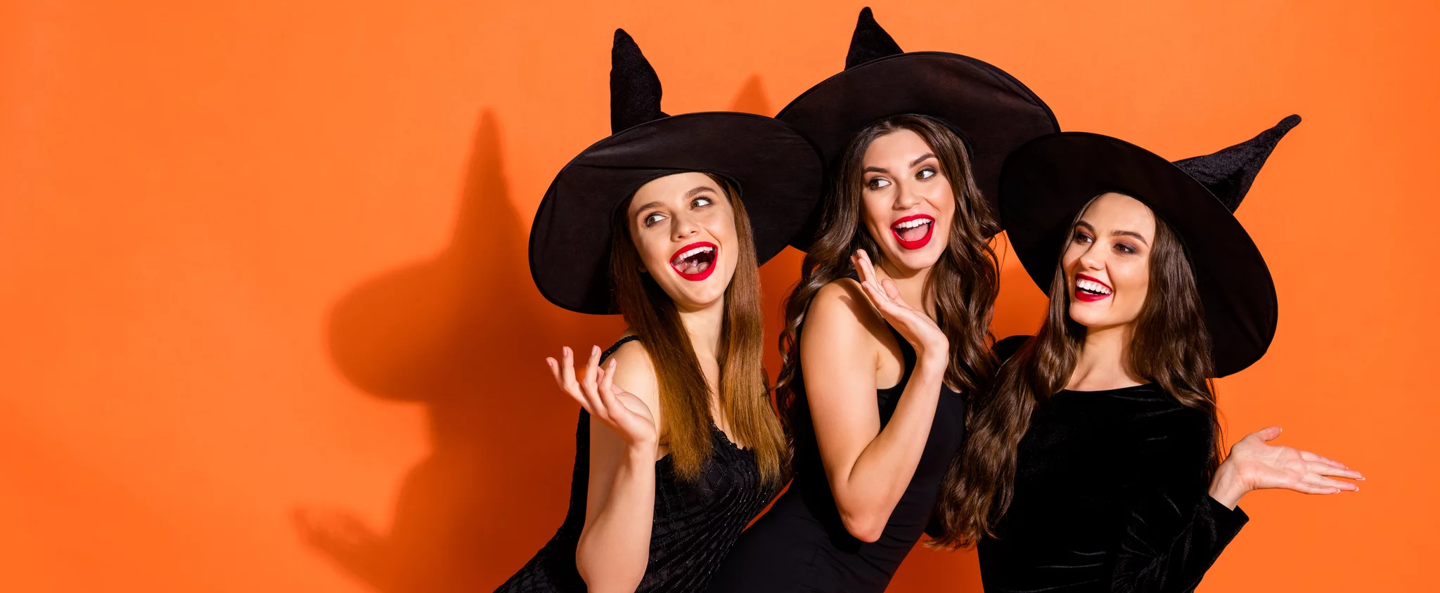 Front Page -Halloween Store 8e376a836307cdeec37741.38059173